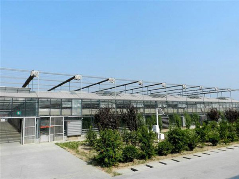 農業(yè)基地的選擇，有哪些方向